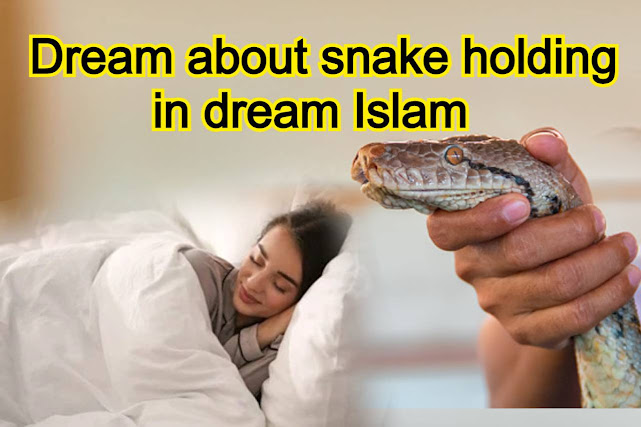 Holding snake's neck in dream, I hold a snake in dream what does it mean 