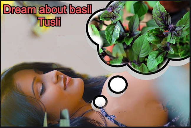 Tulsi in dream meaning in Hindu (Tulsi)