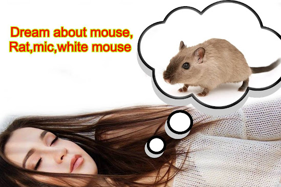 Mouse in dream Hindu, Mouse in dream spiritual meaning