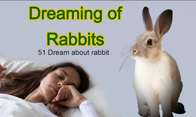 Dreaming of rabbits Hindu, Seeing rabbit in dream Hindu 