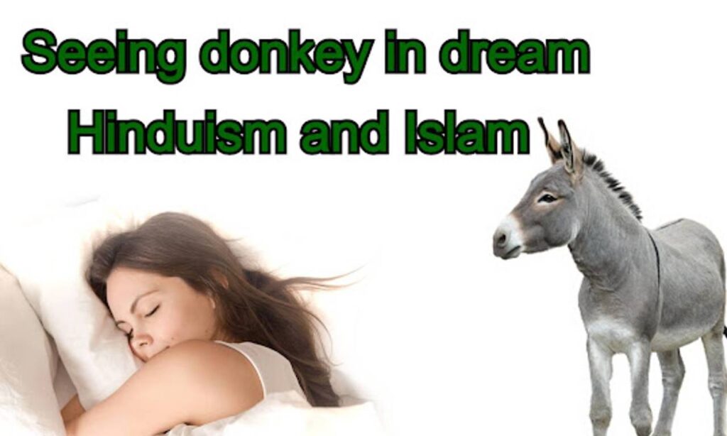 What does it mean to see a Donkey in a dream Islam and Hinduism