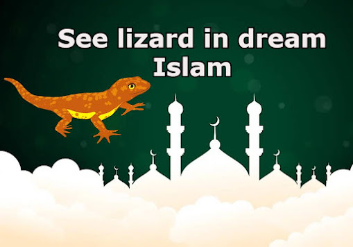 What is the meaning of seeing lizard in dream in Islam