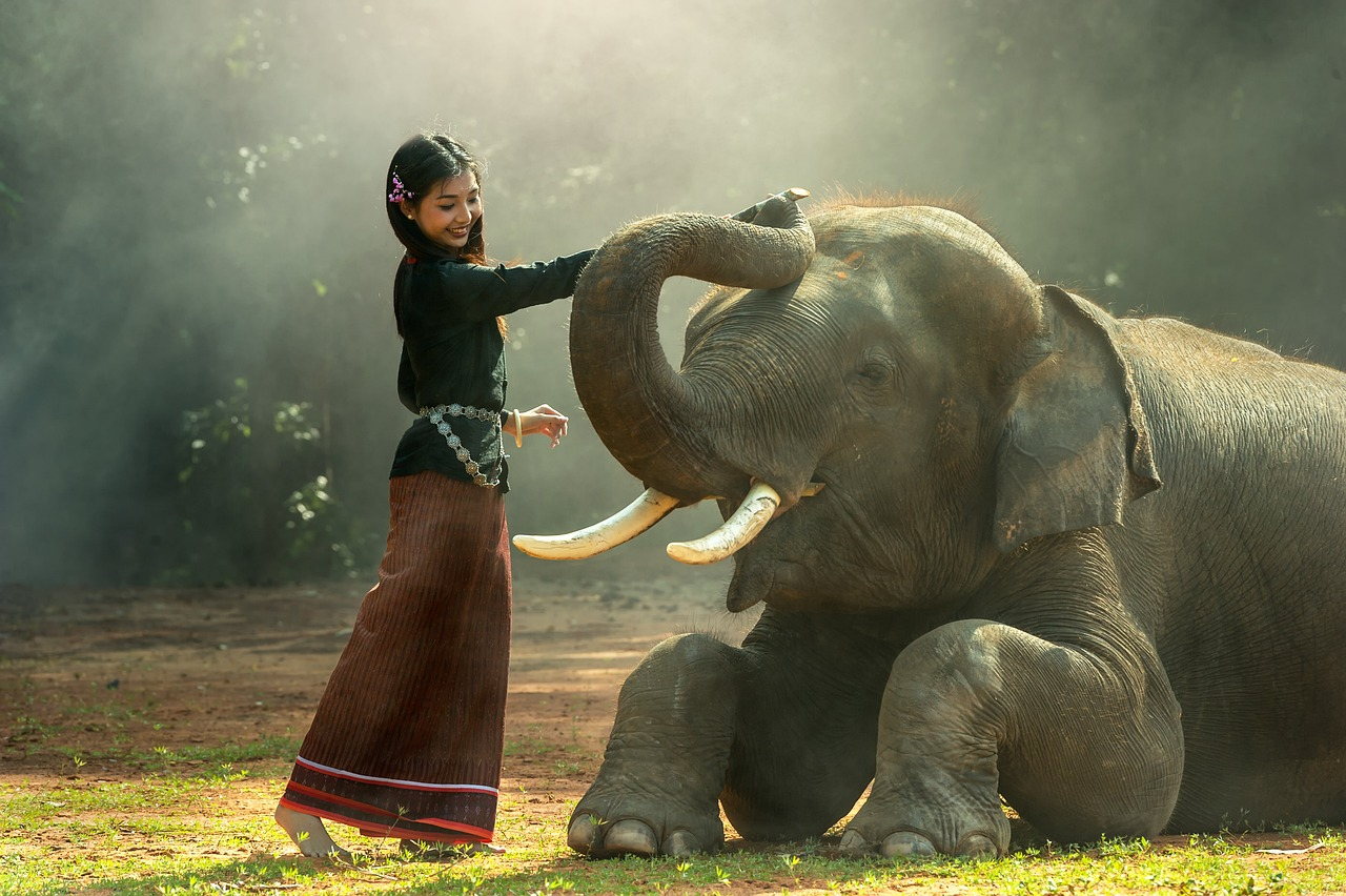 Seeing elephant in dream Hindu 